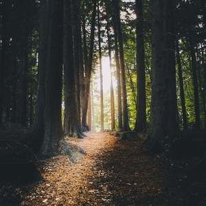 Meet your Posher, Debra